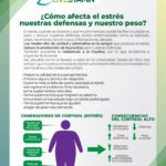 Como afecta el estres
