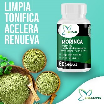 antioxidante, mejora tu organismo