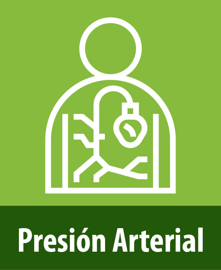 post pagina web 04 1