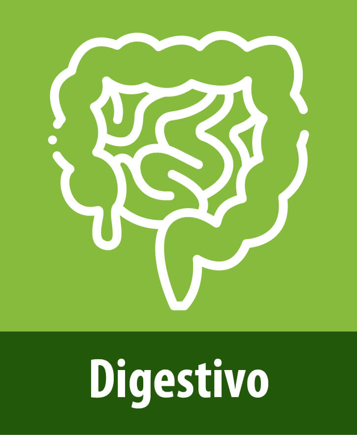 post pagina web 06 1