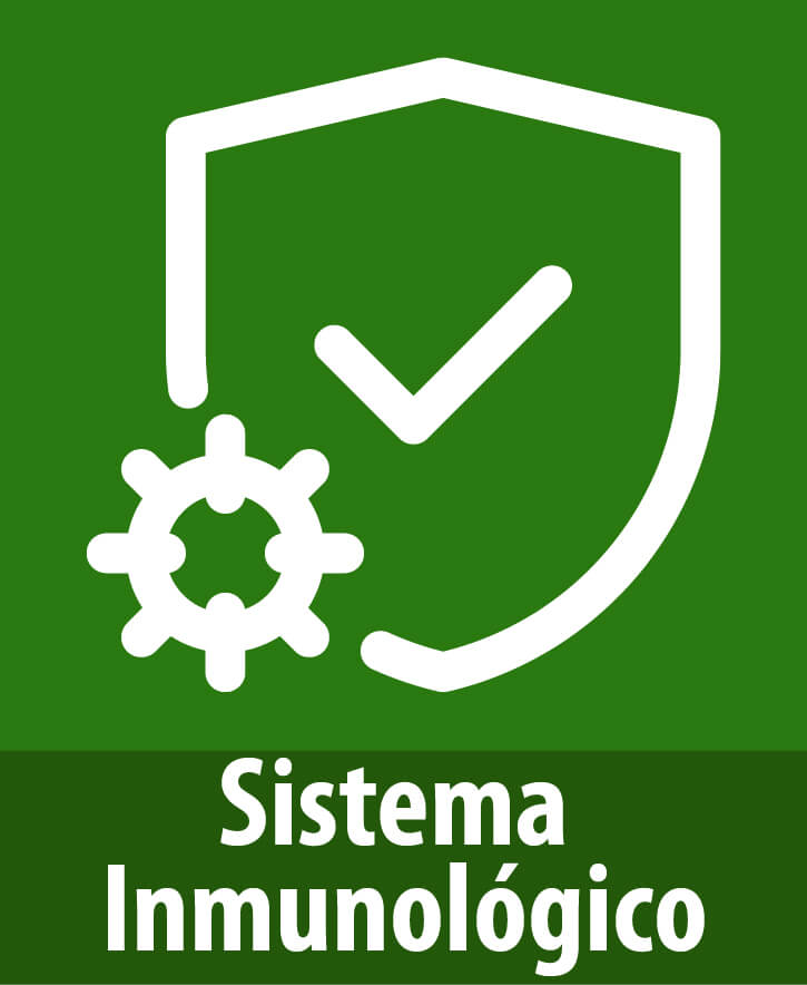 post pagina web 07 1