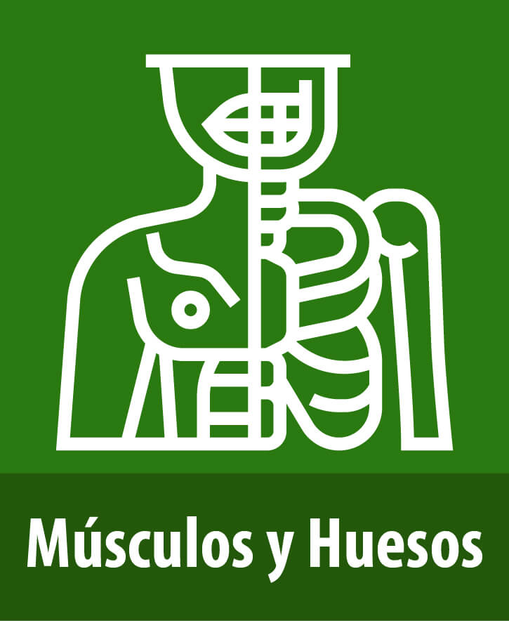 post pagina web 11 1