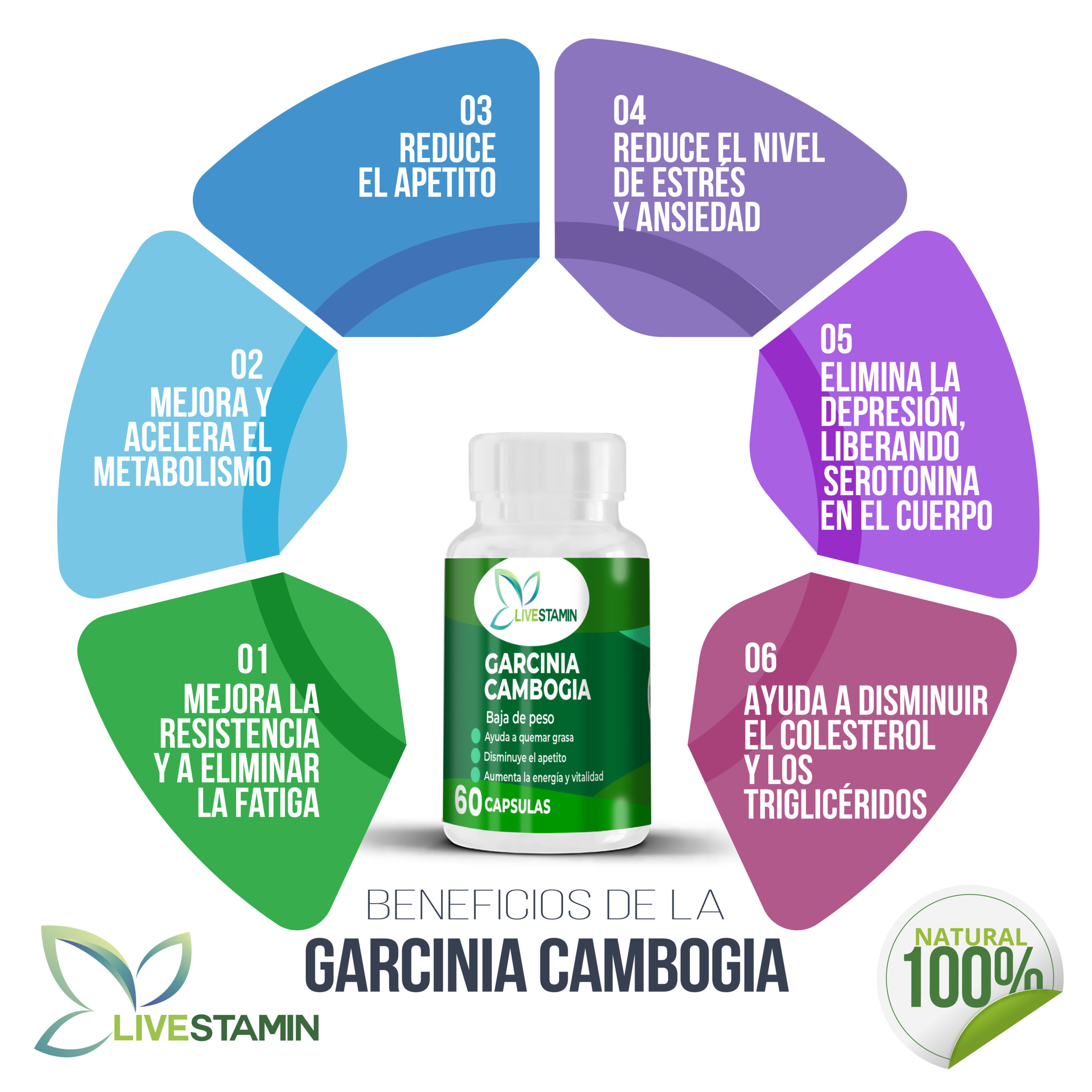 beneficios de melatonina y garcinia_Mesa de trabajo 1 copy beneficios de melatonina y garcinia Mesa de trabajo 1 copy scaled